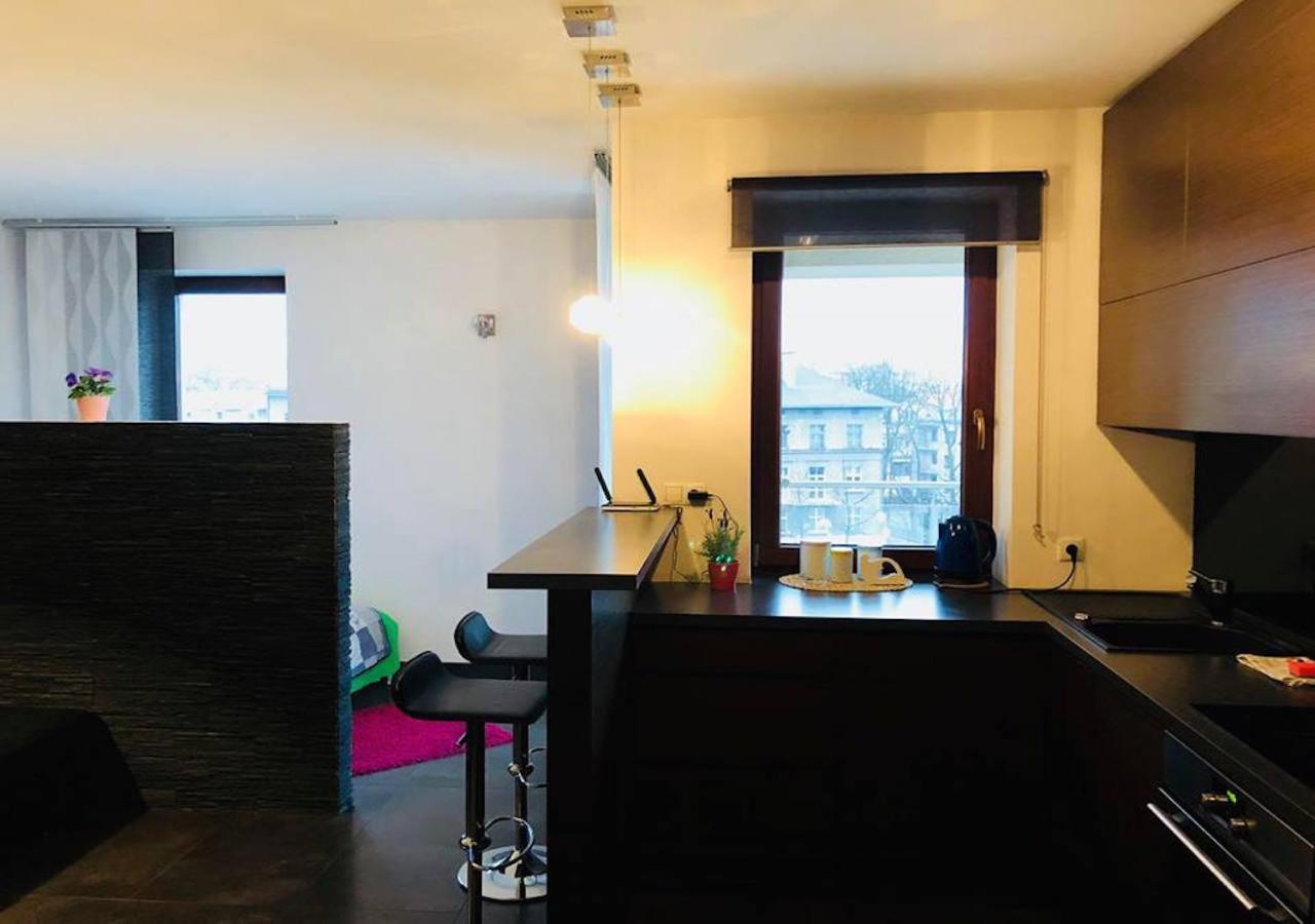 Apartament Z Widokiem Na Wawel W Centrum Miasta 克拉科夫 外观 照片